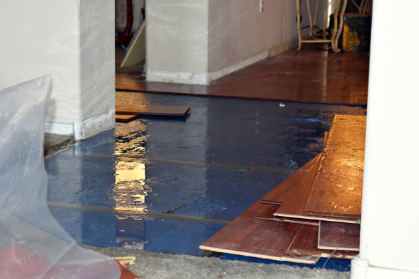 Professional Burst Pipe Cleanup technician working in Richwood, NJ